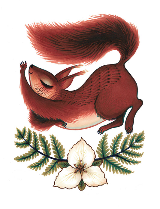 8x10" Archival Giclee - "Squirrel Stretch"